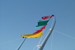 Flag parade