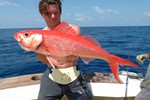 Pretty in Red/Ruby?